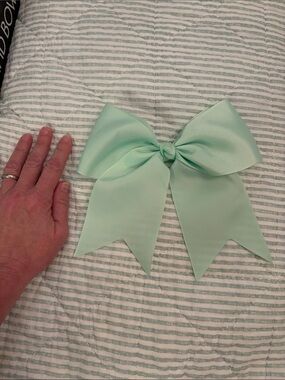 Large Kids Hair Bow Clip - Mint Green Grosgrain
